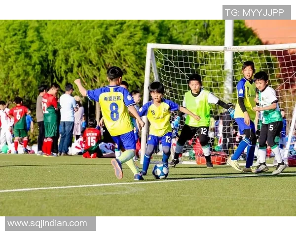 塔林球队迎战希腊人竞技期待一场精彩的足球对决与激情碰撞