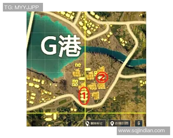 和平精英战术解析:深入探讨WE战队的区域防守策略与实战应用MBA