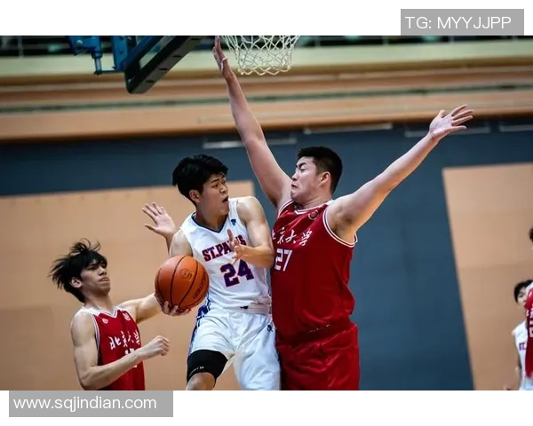 杭州篮球队在邀请赛中的灵活性表现分析与战术探讨MBA