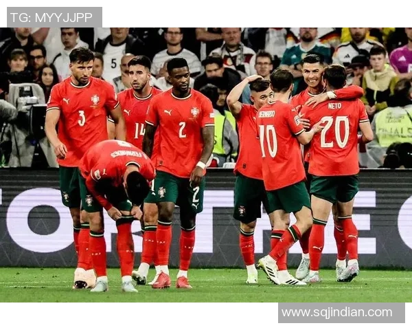 葡萄牙对阵爱尔兰精彩直播全程回顾与赛后分析