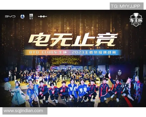 热议王者荣耀TES战队灵活性变革带来的新机遇与挑战分析